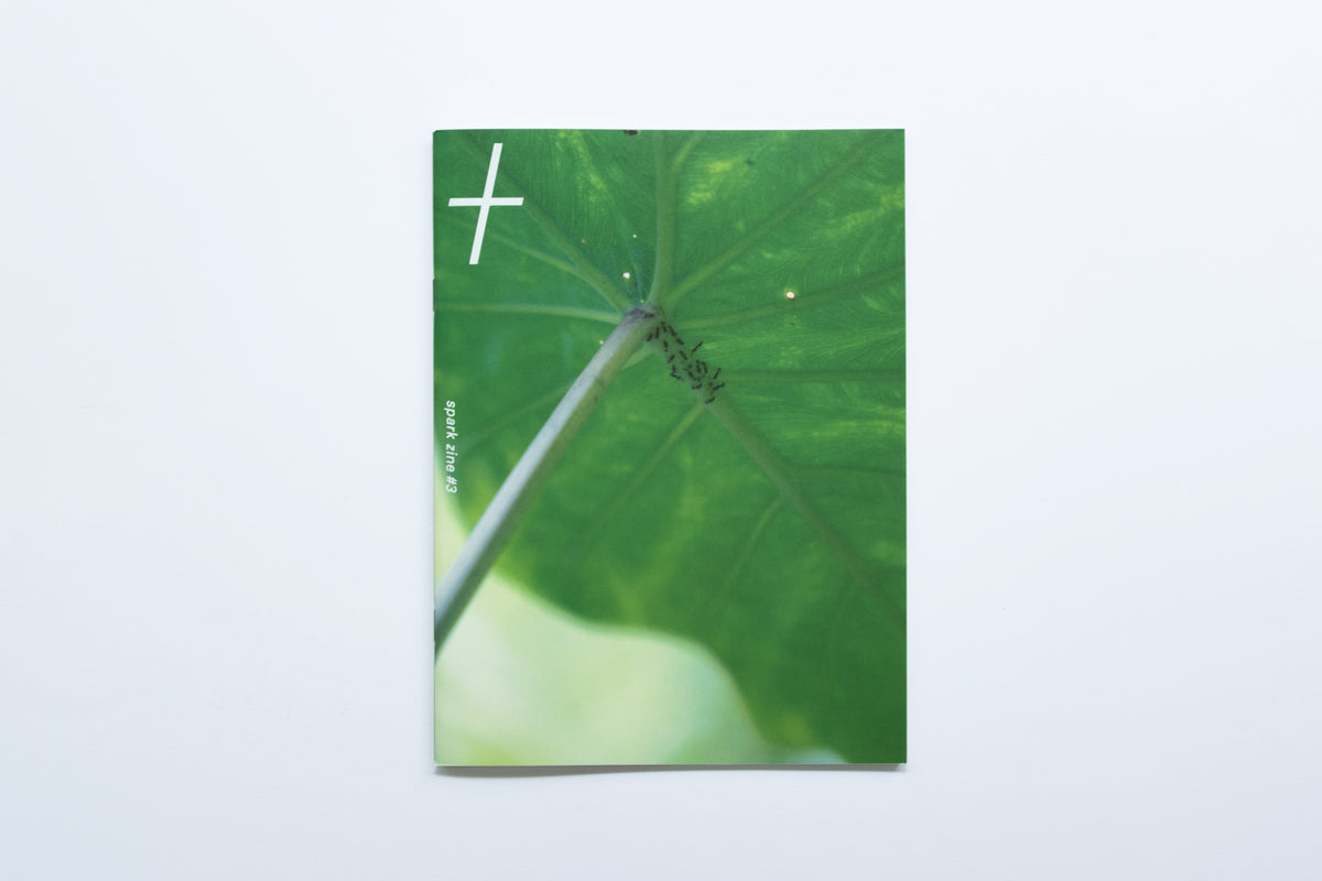 Spark Zine | Gardenia | Gu Liyu