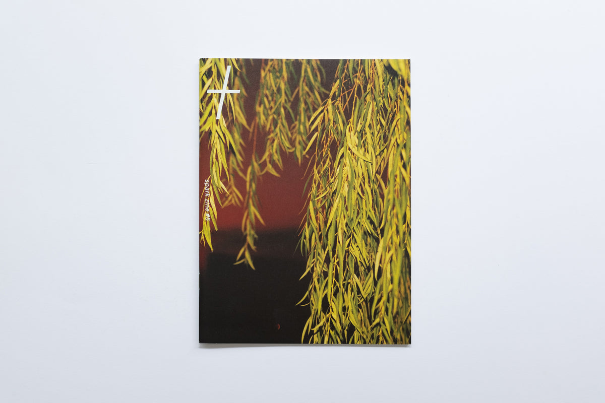 Spark Zine | Walking Back Along the River Bank | Mei Wen