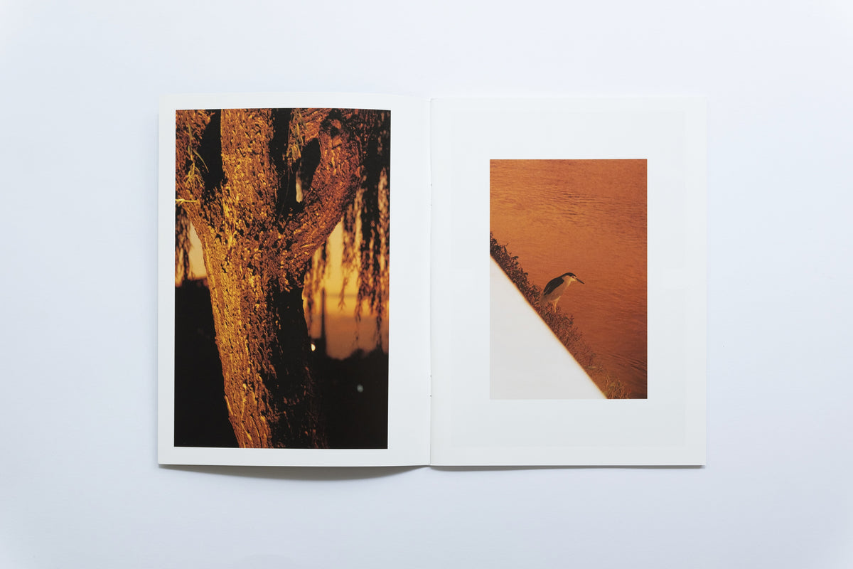 Spark Zine | Walking Back Along the River Bank | Mei Wen